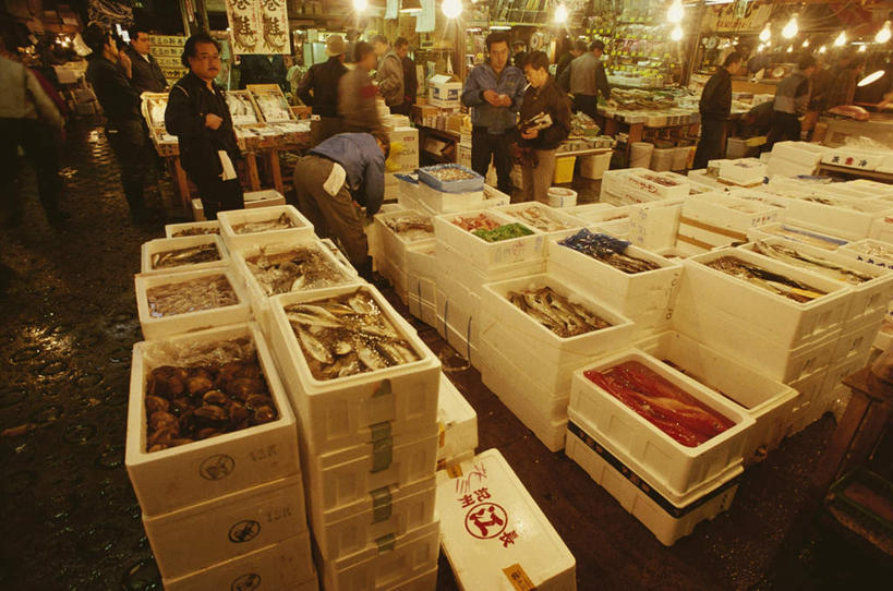 海鲜,东方人,站,说,横图,室内,白天,正面,购物,度假,讨论,消费,美景,城市风光,城市,照明,东京,日本,亚洲,许多,阴影,服装,光线,鱼,灯泡,影子,景观,灯光,集市,市场,很多,许多人,注视,休闲装,黄种人,娱乐,水产,鱼类,海洋生物,灯,衣服,灯具,观察,看,站着,一群人,享受,休闲,休闲服,景色,放松,金融,服饰,白炽灯,观看,照亮,察看,关注,水生动物,海产品,水生物,选购,贸易,东亚,海底动物,照明工具,本州,关东地方,本州岛,日本国,东京都,白炽灯泡,筑地,筑地市场,交流,男人,男性,中年男性,亚洲人,沟通,讲话,交谈,商讨,说话,谈话,站立,半身,彩图,鱼市