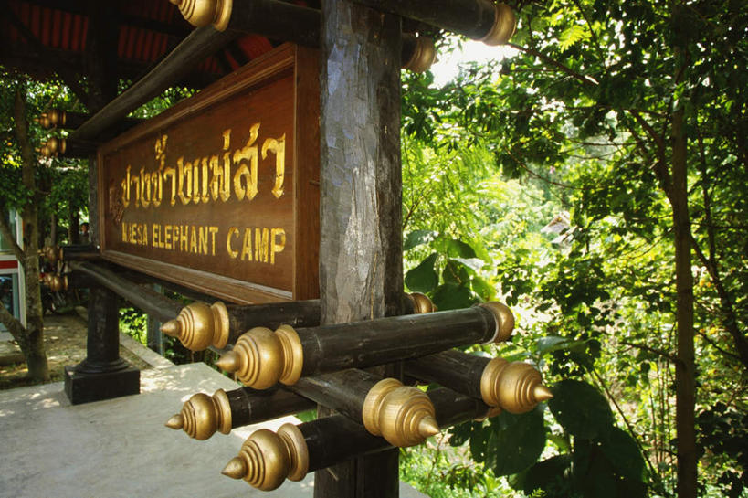 无人,横图,室外,白天,正面,度假,美景,植物,城市风光,城市,泰国,亚洲,英文,标志,文字,字符,字母,景观,娱乐,标识,树,树木,绿色,自然,享受,休闲,景色,放松,东南亚,生长,成长,英文字母,泰王国,清迈府,清迈省,彩图