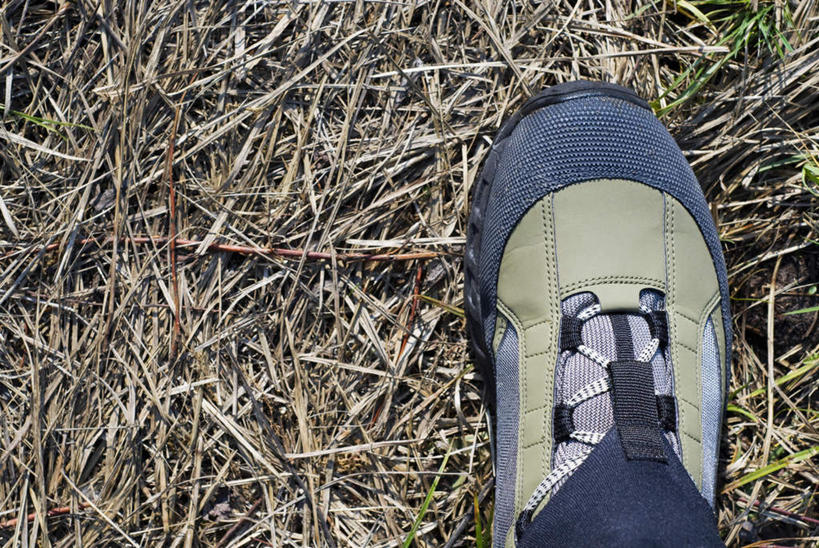 无人,横图,俯视,室外,特写,白天,运动鞋,植物,鞋子,阴影,枯萎,反射,影子,枯草,草,一只,黄色,休闲鞋,彩图,高角度拍摄