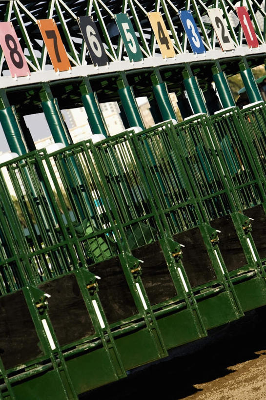 无人,体育馆,栏杆,运动场,竖图,室外,白天,仰视,一排,阴影,整齐,光线,标志,文字,影子,支架,字符,字母,围栏,标识,体育场,护栏,马场,架子,脚手架,排列,施工,蓝色,蓝天,天空,阳光,天,晴朗,支撑,固定,队列,阿拉伯文,赛马场,万里无云,跑马场,运动馆,阿拉伯语,阿拉伯字母,晴空,晴空万里,彩图,低角度拍摄,稳固