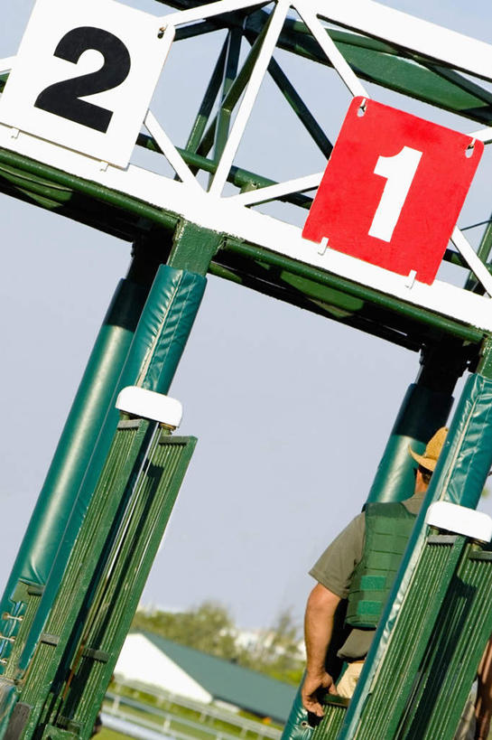 西方人,一个人,体育馆,运动场,站,竖图,室外,白天,欧洲,欧洲人,仅一个男性,仅一个人,服装,英文,标志,文字,支架,字符,字母,休闲装,标识,体育场,马场,架子,脚手架,施工,仅一个年轻男性,背面,衣服,蓝色,蓝天,天空,天,站着,休闲,休闲服,服饰,晴朗,英文字母,支撑,固定,赛马场,万里无云,跑马场,运动馆,男人,男性,年轻男性,白种人,晴空,晴空万里,站立,半身,彩图,稳固