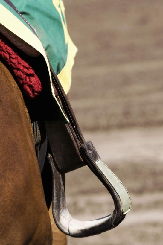 无人,体育馆,运动场,站,竖图,俯视,室外,特写,白天,马,野生动物,朦胧,模糊,体育场,马场,一匹,座位,马鞍,动物,站着,运输,牲畜,赛马场,跑马场,运动馆,马具,站立,半身,彩图,高角度拍摄