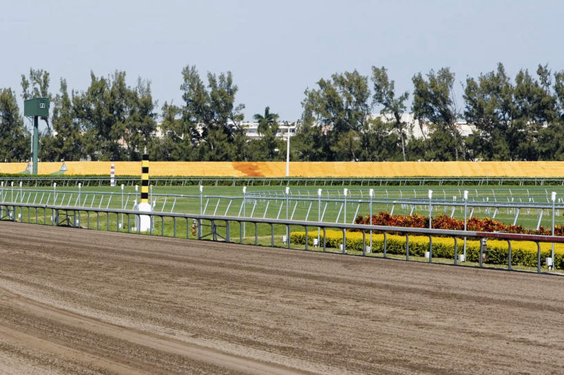 无人,体育馆,栏杆,运动场,横图,室外,白天,正面,旅游,度假,花海,花圃,美景,植物,叶子,阴影,盛开,光线,扶手,影子,景观,花蕾,娱乐,体育场,护栏,马场,花,花瓣,花朵,花卉,鲜花,树,树木,蓝色,绿色,蓝天,天空,阳光,自然,花丛,花束,花田,天,花苞,花蕊,享受,休闲,景色,放松,生长,晴朗,成长,自然风光,赛马场,万里无云,跑马场,运动馆,晴空,晴空万里,彩图