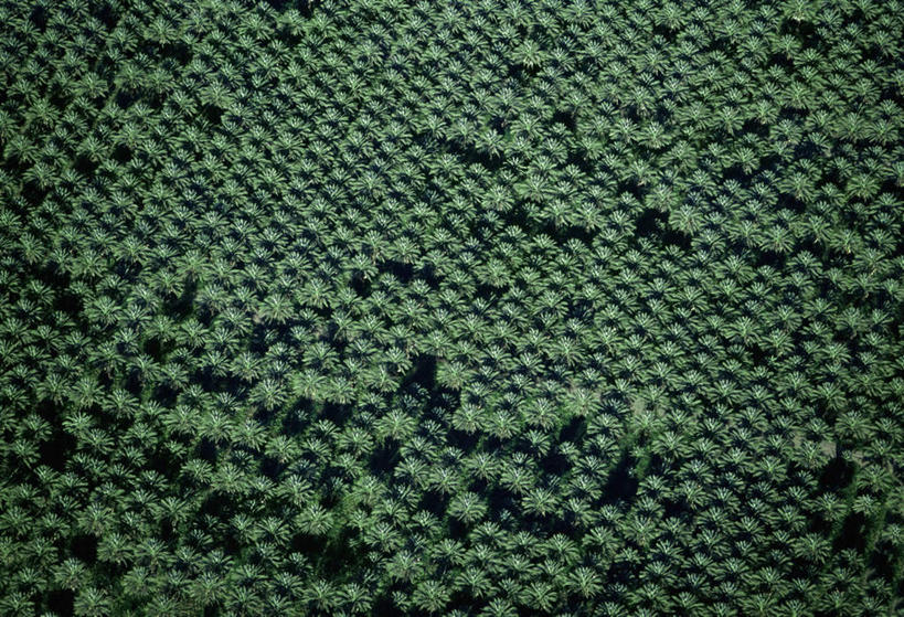 无人,公园,农田,横图,俯视,航拍,室外,白天,旅游,度假,庄稼,农作物,美景,美国,阴影,光线,纹路,纹理,影子,景观,娱乐,阳光,自然,享受,休闲,景色,放松,北美,北美洲,国家公园,鸟瞰,加利福尼亚,自然风光,美洲,加州,加利福尼亚州,金州,黄金州,肌理,三王峡谷国家公园,国王谷国家公园,北亚美利加洲,亚美利加洲,金斯峡谷国家公园,帝王谷,帝国谷,皇帝谷,国王峡谷国家公园,彩图,高角度拍摄,耕地,庄稼田