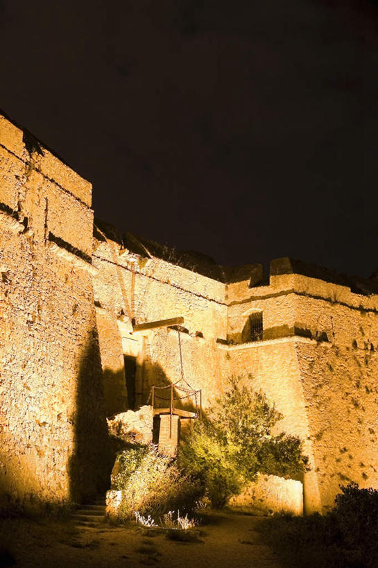 无人,竖图,室外,夜晚,仰视,度假,石头,美景,植物,楼梯,城市风光,城市,夜景,法国,欧洲,阴影,光线,石子,影子,堡垒,城堡,阶梯,墙,景观,灯光,青苔,苔藓,娱乐,墙壁,墙面,台阶,树,树木,绿色,自然,享受,休闲,景色,放松,生长,成长,要塞,滨海阿尔卑斯,尼斯,法兰西共和国,省会,法兰西第五共和国,普罗旺斯.阿尔卑斯.蓝色海岸,普罗旺斯.阿尔卑斯.蓝色海岸大区,设防,滨海阿尔卑斯省,石块,岩石,彩图,低角度拍摄