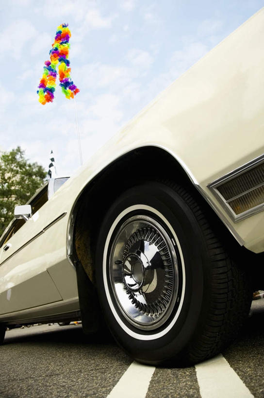 无人,竖图,彩色,室外,白天,仰视,爱情,植物,汽车,旗帜,阴影,盛开,光线,影子,云,云朵,浪漫,花蕾,云彩,旗子,车,花,花瓣,花朵,鲜花,树,树木,蓝色,绿色,白云,蓝天,天空,阳光,自然,交通工具,轿车,天,花苞,花蕊,温暖,温馨,恩爱,恋人,生长,晴朗,成长,和睦,载具,同性恋,旌旗,旗号,情侣,晴空,彩图,低角度拍摄,彩虹旗,伴侣,融洽