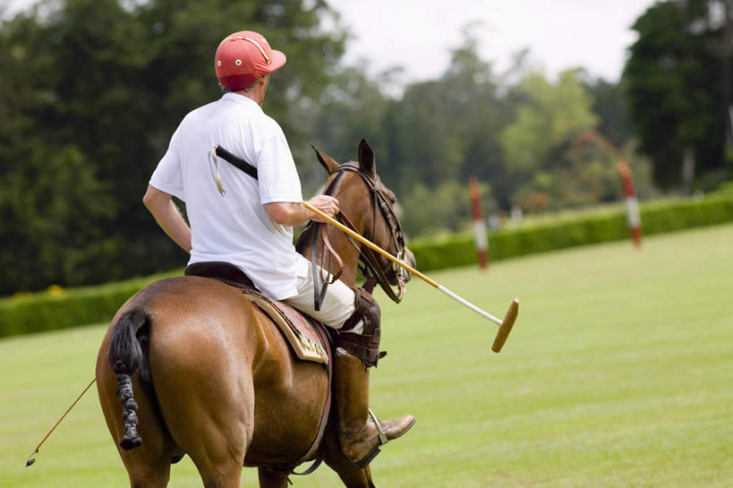 西方人,一个人,坐,横图,室外,白天,运动服,锻炼,旅游,度假,运动,草地,草坪,植物,帽子,欧洲,欧洲人,仅一个男性,仅一个人,握,服装,头盔,拿,拿着,娱乐,运动器械,草,树,树木,仅一个年轻男性,背面,衣服,绿色,自然,安全帽,享受,休闲,健身器械,放松,握着,服饰,生长,成长,衣着,穿着,室外运动,健身器材,户外运动,马球,衣饰,打毬,击鞠,男人,男性,年轻男性,白种人,坐着,彩图,全身,健身,运动器材,运动装