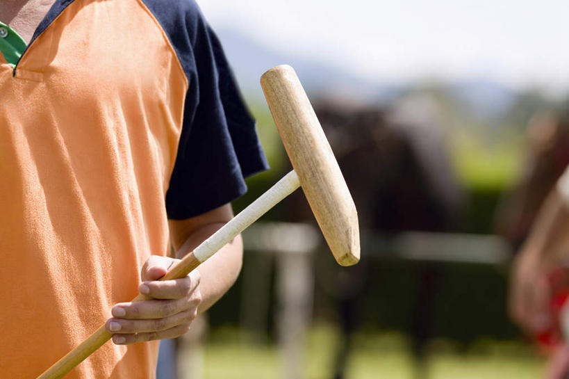 西方人,一个人,站,横图,室外,白天,正面,运动服,锻炼,旅游,度假,运动,草地,草坪,植物,马,野生动物,欧洲,欧洲人,仅一个男性,仅一个人,握,服装,朦胧,模糊,拿,拿着,娱乐,运动器械,草,树,树木,仅一个年轻男性,衣服,绿色,自然,动物,站着,享受,休闲,健身器械,放松,握着,运输,服饰,牲畜,生长,成长,衣着,穿着,室外运动,健身器材,户外运动,马球,衣饰,打毬,击鞠,男人,男性,年轻男性,白种人,站立,半身,彩图,健身,运动器材,运动装