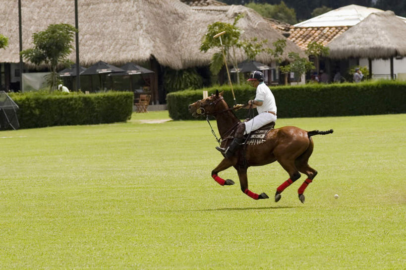 西方人,一个人,家,坐,横图,室外,白天,侧面,锻炼,运动,草地,草坪,植物,马,野生动物,欧洲,欧洲人,仅一个男性,仅一个人,仅一个中年男性,牵,服装,环保,房屋,屋子,草屋,防护,注视,休闲装,运动器械,一匹,住宅,草,树,树木,骑,衣服,绿色,自然,动物,茅草屋,观察,看,休闲,休闲服,健身器械,运输,服饰,牲畜,生长,成长,观看,牵着,察看,关注,美好,美妙,间隔,健身器材,马球,美观,雅观,打毬,击鞠,绿篱,生篱,树篱,植篱,体育,男人,男性,中年男性,白种人,坐着,彩图,全身,健身,房子,茅舍,茅屋,小屋,运动器材