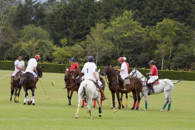 西方人,背部,坐,横图,室外,白天,正面,运动服,锻炼,运动,草地,草坪,植物,马,野生动物,帽子,欧洲,欧洲人,握,阴影,服装,环保,光线,头盔,影子,防护,许多人,拿,拿着,注视,运动器械,草,树,树木,衣服,绿色,阳光,自然,动物,安全帽,观察,看,一群人,健身器械,握着,运输,服饰,牲畜,生长,成长,观看,察看,衣着,穿着,关注,美好,美妙,间隔,健身器材,马球,美观,雅观,衣饰,打毬,击鞠,绿篱,生篱,树篱,植篱,体育,男人,男性,中年男性,白种人,坐着,彩图,全身,健身,运动器材,运动装