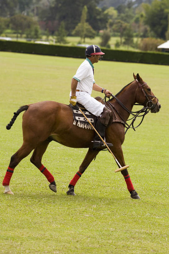 西方人,一个人,坐,竖图,室外,白天,侧面,锻炼,运动,草地,草坪,植物,马,野生动物,欧洲,欧洲人,仅一个男性,仅一个人,仅一个中年男性,牵,阴影,服装,环保,光线,纱布,影子,防护,注视,休闲装,运动器械,一匹,草,树,树木,衣服,绿色,阳光,自然,动物,观察,看,休闲,休闲服,健身器械,治疗,运输,服饰,牲畜,生长,成长,观看,牵着,固定,察看,医疗,关注,美好,美妙,间隔,健身器材,马球,美观,雅观,止血,打毬,击鞠,绿篱,生篱,树篱,植篱,体育,男人,男性,中年男性,白种人,绷带,坐着,彩图,全身,健身,运动器材