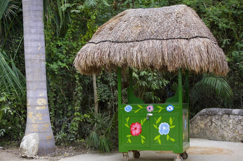 无人,横图,室外,白天,正面,旅游,度假,美景,植物,墨西哥,景观,树桩,娱乐,树,树干,树木,绿色,自然,享受,休闲,木桩,景色,放松,生长,成长,北美,北美洲,自然风光,美洲,坎昆,金塔纳罗奥州,北亚美利加洲,亚美利加洲,墨西哥合众国,仙人掌王国,金塔纳罗奥,彩图