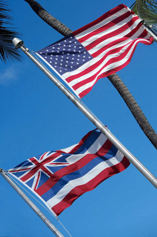 无人,竖图,室外,特写,白天,仰视,植物,棕榈树,旗帜,国旗,叶子,两面,阴影,飘扬,光线,影子,绿叶,星条旗,树,树木,蓝色,绿色,蓝天,天空,阳光,自然,天,嫩叶,美国国旗,生长,晴朗,成长,飘逸,飞扬,棕榈叶,万里无云,叶,叶片,旗,晴空,晴空万里,彩图,低角度拍摄,美利坚合众国国旗,美国州旗