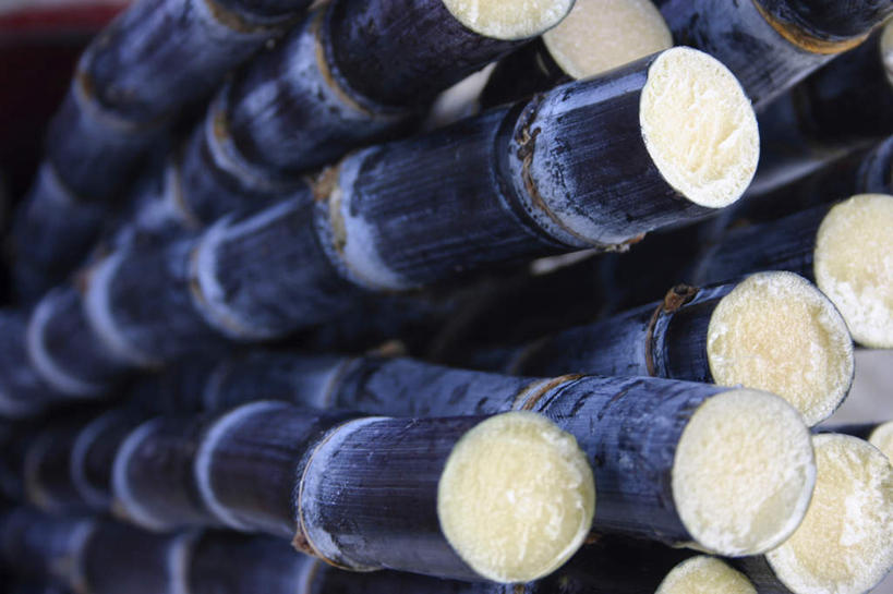 无人,横图,室外,特写,白天,正面,水果,一堆,许多,阴影,堆叠,堆积,朦胧,模糊,新鲜,光线,影子,生食,食品,果实,甘蔗,食物,阳光,有机食品,绿色食品,堆,糖蔗,竹蔗,彩图