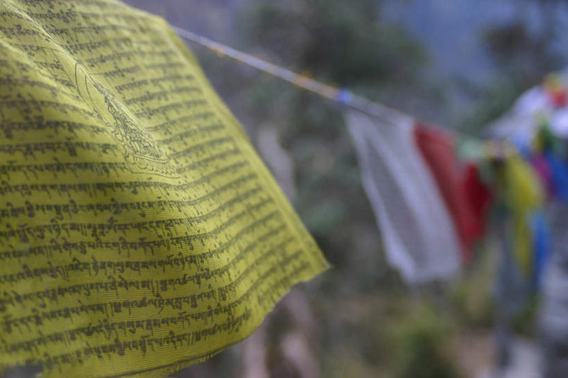 无人,横图,室外,特写,白天,正面,旅游,度假,名胜古迹,植物,标志建筑,地标,建筑,尼泊尔,亚洲,吊挂,悬挂,阴影,朦胧,模糊,遗迹,飘扬,光线,影子,首都,挂,古迹,文物,娱乐,建设,古建筑,经幡,树,树木,绿色,阳光,自然,绳子,享受,休闲,旅游胜地,放松,生长,成长,飘逸,绳索,飞扬,南亚,古文明,加德满都,风马旗,安纳普尔纳峰,尼泊尔王国,加都,斯瓦扬布寺,斯瓦扬布山,德满都,斯瓦扬布佛院,斯瓦扬布纳特寺,四眼天神庙,库塘峰,彩图