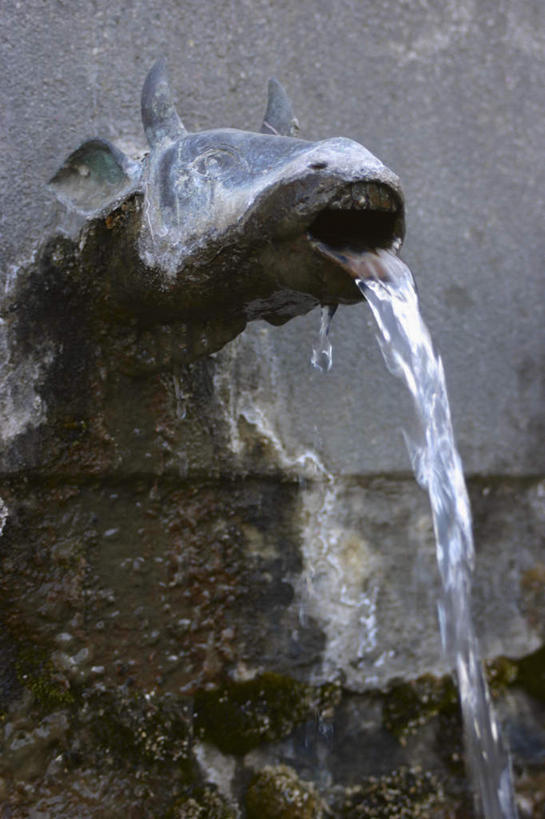 头,无人,竖图,室外,特写,白天,正面,喷泉,牛,雕塑,尼泊尔,亚洲,艺术,装饰,雕刻,雕像,景观,文化,动物,工艺品,品味,家畜,牲畜,纪念,美术,主题,南亚,水景,陈列,喜马拉雅山脉,安纳普尔纳峰,尼泊尔王国,喜马拉雅山,功能,美学,美观,喜马拉雅,库塘峰,头部,设计,半身,彩图