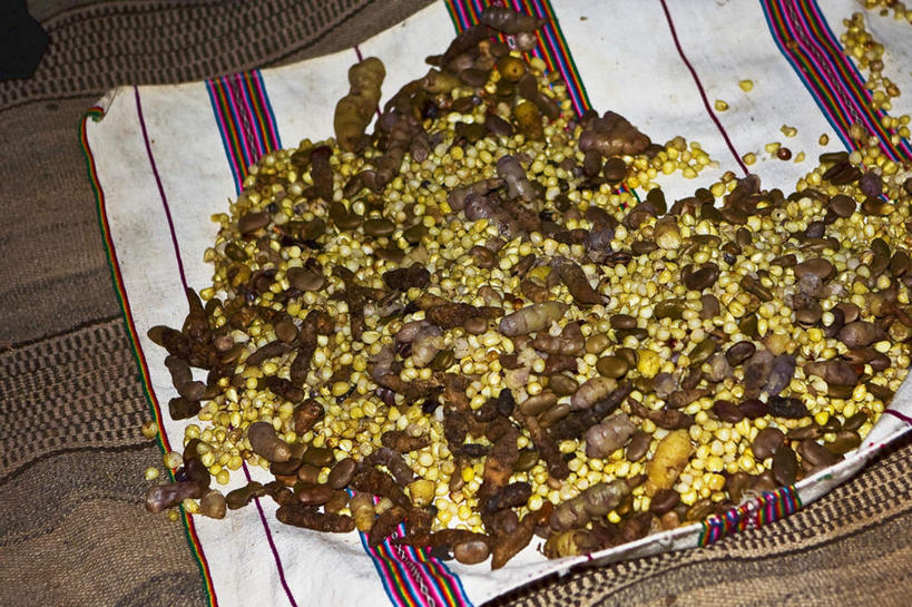 无人,横图,俯视,室内,特写,白天,玉米,蔬菜,秘鲁,一堆,许多,堆叠,堆积,新鲜,棒子,玉蜀黍,肉,食品,肉类,食物,南美,有机食品,绿色食品,堆,苞米,南美洲,拉丁美洲,美洲,苞芦,肉食,苞谷,秘鲁共和国,普诺,塔基列岛,亚美利加洲,包谷,大蜀黍,番麦,薏米包,玉高粱,玉麦,珍珠米,南亚美利加洲,玉米之仓,普诺省,彩图,高角度拍摄