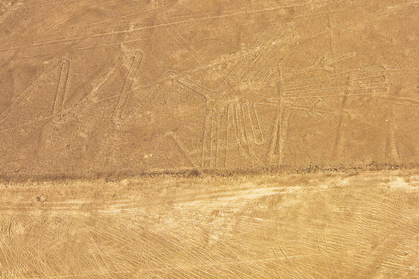 无人,横图,俯视,室外,白天,旅游,度假,绘画,名胜古迹,标志建筑,地标,建筑,海鸟,鸟,秘鲁,阴影,遗迹,艺术,装饰,光线,鸟类,影子,墙,古迹,文化,文物,娱乐,建设,古建筑,壁画,墙壁,墙面,阳光,享受,休闲,旅游胜地,南美,放松,华丽,修饰,点缀,南美洲,拉丁美洲,美洲,古文明,秘鲁共和国,伊卡,纳斯卡,亚美利加洲,衬托,美观,雅致,雅观,南亚美利加洲,玉米之仓,鲣鸟,纳斯卡巨画,纳斯卡线条,伊卡省,画画,半身,彩图,高角度拍摄