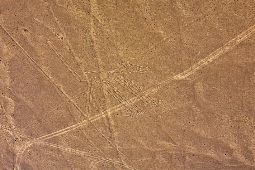 无人,横图,俯视,室外,白天,旅游,度假,绘画,石头,名胜古迹,沙漠,标志建筑,地标,建筑,宠物,狗,秘鲁,阴影,遗迹,艺术,装饰,光线,石子,影子,墙,古迹,文化,文物,娱乐,建设,古建筑,壁画,墙壁,墙面,阳光,动物,享受,休闲,旅游胜地,南美,放松,可爱,华丽,修饰,点缀,南美洲,拉丁美洲,美洲,古文明,忠诚,秘鲁共和国,伊卡,纳斯卡,亚美利加洲,衬托,美观,雅致,雅观,南亚美利加洲,玉米之仓,纳斯卡巨画,纳斯卡线条,伊卡省,大漠,砂漠,石块,岩石,犬,画画,彩图,高角度拍摄,全身