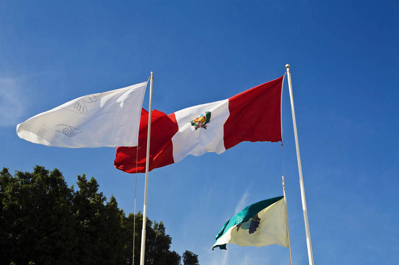 无人,横图,室外,特写,白天,仰视,旅游,度假,美景,植物,旗帜,国旗,秘鲁,阴影,飘扬,光线,影子,景观,云,云朵,云彩,娱乐,树,树木,蓝色,绿色,白云,蓝天,天空,阳光,自然,天,享受,休闲,景色,南美,放松,生长,晴朗,成长,飘逸,南美洲,拉丁美洲,自然风光,飞扬,美洲,秘鲁共和国,伊卡,亚美利加洲,南亚美利加洲,玉米之仓,三面,伊卡省,旗,晴空,彩图,低角度拍摄