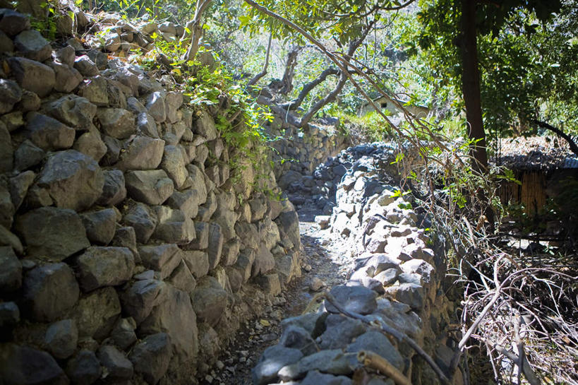 无人,横图,室外,白天,正面,旅游,度假,石头,美景,植物,道路,路,秘鲁,一排,许多,阴影,整齐,光线,石子,影子,墙,景观,小路,交通,娱乐,墙壁,墙面,树,树木,排列,绿色,阳光,自然,享受,休闲,景色,南美,放松,生长,成长,南美洲,拉丁美洲,队列,自然风光,美洲,秘鲁共和国,阿雷基帕,亚美利加洲,南亚美利加洲,玉米之仓,阿雷基帕省,石块,岩石,彩图