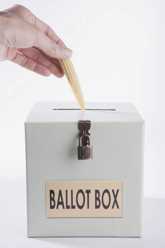 西方人,手,一个人,竖图,室内,特写,白天,白色背景,正面,安全,玉米,蔬菜,欧洲,欧洲人,仅一个年轻女性,仅一个女性,仅一个人,一排,握,阴影,新鲜,整齐,反射,英文,棒子,标志,文字,影子,字符,字母,玉蜀黍,食品,防护,拿,拿着,标识,锁,食物,排列,容器,箱子,手部,握着,摄影,有机食品,绿色食品,影棚,储藏,英文字母,保护,单手,苞米,挂锁,储存,队列,苞芦,保险,私密,苞谷,保全,周全,安稳,安定,防盗,包谷,大蜀黍,番麦,薏米包,玉高粱,玉麦,珍珠米,想法,平安,年轻女性,女人,女性,白种人,半身,彩图,影棚拍摄,拍摄,建议,意见,意见箱,建议箱,贮存