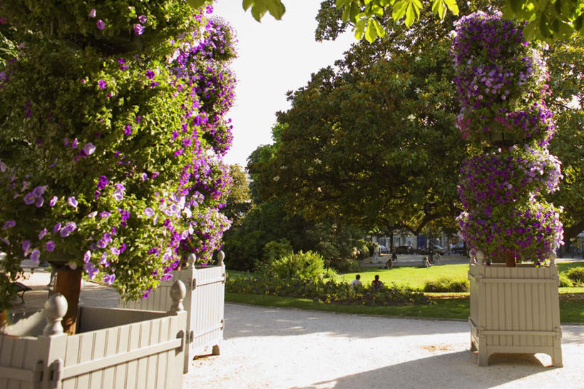 无人,横图,室外,白天,正面,旅游,度假,草地,草坪,美景,植物,法国,欧洲,阴影,盛开,光线,影子,景观,花蕾,娱乐,草,花,花瓣,花朵,鲜花,树,树木,蓝色,绿色,蓝天,天空,阳光,自然,天,花苞,花蕊,享受,休闲,景色,放松,生长,晴朗,成长,自然风光,万里无云,法兰西共和国,首府,波尔多,阿基坦,法兰西第五共和国,亚魁当,波尔多市,阿基坦大区,晴空,晴空万里,彩图