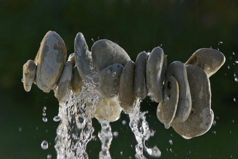 无人,横图,室内,白天,白色背景,正面,摄影,影棚,彩图,影棚拍摄,拍摄