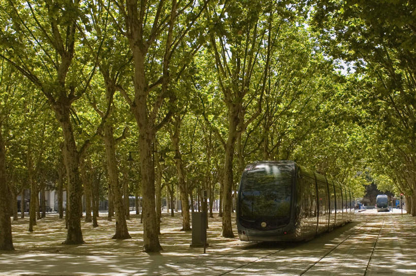 无人,横图,室外,白天,正面,度假,美景,树林,植物,城市风光,城市,路,铁路,汽车,电车,法国,欧洲,阴影,光线,影子,景观,轨道,交通,铁轨,娱乐,车,树,树木,绿色,阳光,自然,交通工具,享受,休闲,景色,放松,运输,生长,成长,载具,法兰西共和国,首府,波尔多,阿基坦,法兰西第五共和国,无轨电车,亚魁当,波尔多市,阿基坦大区,彩图