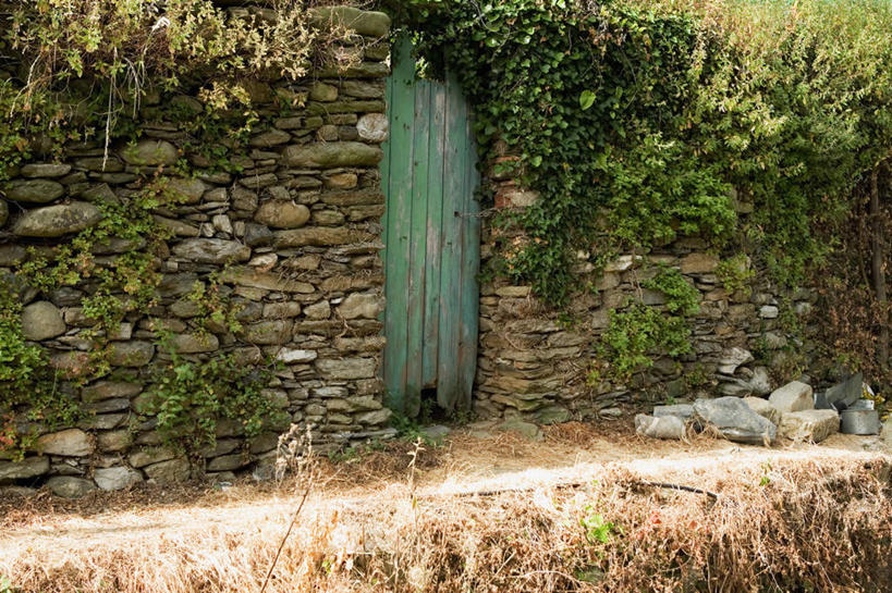 无人,横图,室外,白天,正面,旅游,度假,石头,美景,植物,意大利,欧洲,石子,墙,景观,娱乐,墙壁,墙面,树,树木,绿色,自然,享受,休闲,景色,放松,生长,成长,南欧,自然风光,意大利共和国,利古里亚,利古里亚大区,五渔村,五乡地,石块,岩石,彩图