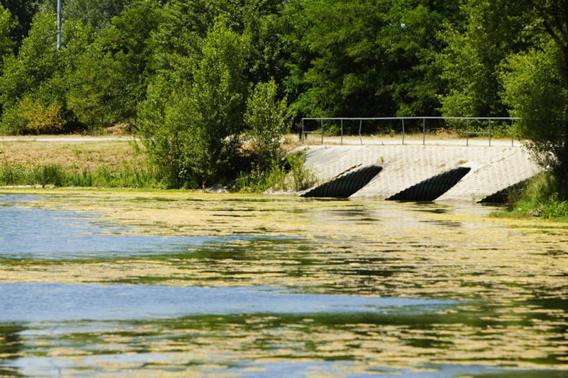 无人,横图,室外,白天,正面,旅游,度假,湖,湖泊,美景,树林,水,植物,法国,欧洲,阴影,波纹,漂浮,飘扬,光线,影子,湖面,景观,水流,水面,浮萍,涟漪,飘落,娱乐,树,树木,绿色,倒影,水纹,阳光,自然,波浪,湖水,享受,休闲,景色,放松,生长,成长,下沉,倒映,自然风光,降落,法兰西共和国,首府,波尔多,阿基坦,水晕,法兰西第五共和国,飘零,反照,亚魁当,波尔多市,阿基坦大区,彩图