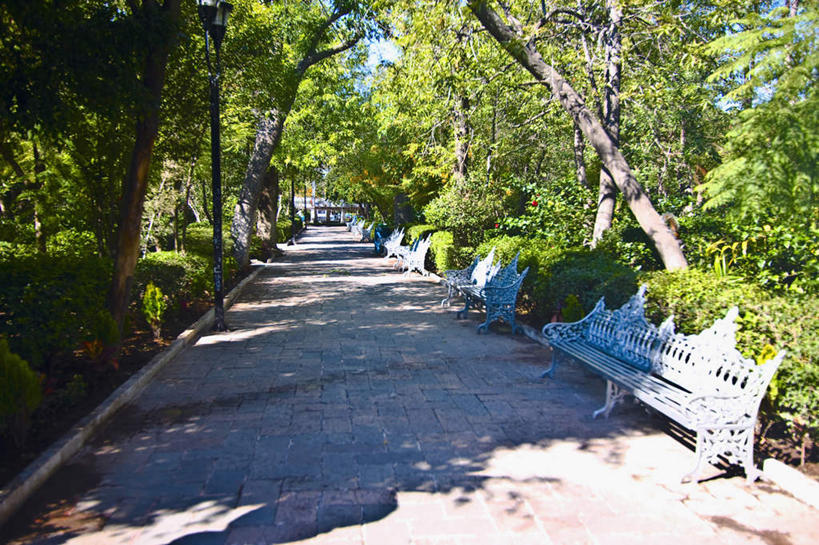 无人,横图,室外,白天,正面,旅游,度假,美景,植物,道路,路,公路,椅子,墨西哥,阴影,光线,影子,木椅,景观,交通,娱乐,树,树木,绿色,阳光,自然,享受,休闲,景色,放松,生长,成长,北美,北美洲,自然风光,美洲,阿瓜斯卡连特斯州,阿瓜斯卡连特斯,北亚美利加洲,亚美利加洲,墨西哥合众国,仙人掌王国,马路,彩图