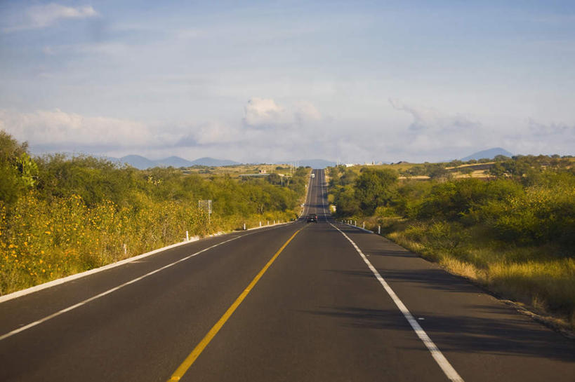 无人,横图,室外,白天,正面,消失点,旅游,度假,美景,树林,植物,道路,路,公路,墨西哥,阴影,光线,影子,景观,云,云朵,分界线,停车线,交通,云彩,娱乐,树,树木,蓝色,绿色,白云,蓝天,天空,阳光,自然,天,享受,休闲,景色,放松,生长,晴朗,成长,车行道,车行道分界线,北美,北美洲,自然风光,标线,美洲,车行线,圣路易斯波托西,北亚美利加洲,亚美利加洲,墨西哥合众国,仙人掌王国,圣路易斯波托西州,晴空,马路,彩图