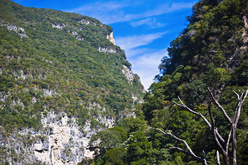 无人,横图,室外,白天,正面,旅游,度假,石头,美景,森林,山,山脉,树林,植物,墨西哥,阴影,光线,石子,影子,景观,山顶,山峰,云,云朵,山峦,云彩,娱乐,树,树木,蓝色,绿色,白云,蓝天,天空,阳光,自然,群山,天,享受,休闲,景色,放松,生长,晴朗,成长,北美,北美洲,自然风光,美洲,沉积岩,恰帕斯,恰帕斯州,北亚美利加洲,亚美利加洲,墨西哥合众国,仙人掌王国,颠峰,极峰,水成岩,石块,岩石,晴空,彩图