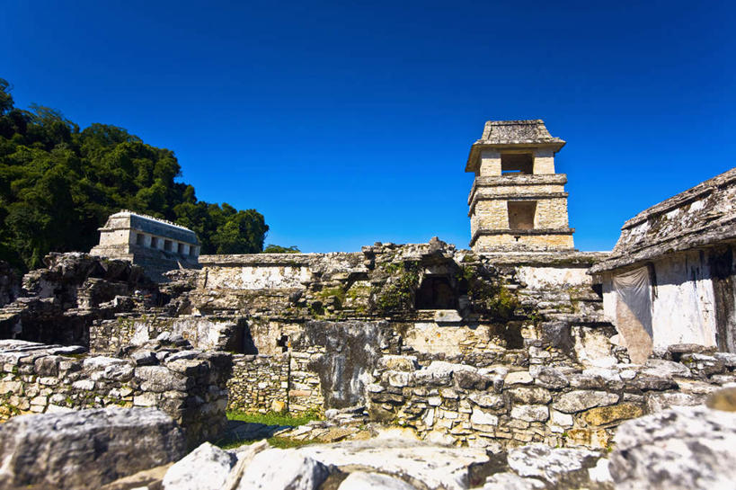 无人,横图,室外,白天,仰视,旅游,度假,石头,名胜古迹,植物,地标,墨西哥,阴影,遗迹,光线,三角形,石子,影子,墙,古迹,历史,文物,娱乐,古建筑,废墟,墙壁,墙面,树,树木,蓝色,绿色,蓝天,天空,阳光,自然,天,享受,休闲,旅游胜地,金字塔,放松,生长,晴朗,成长,北美,陵墓,北美洲,玛雅金字塔,美洲,古文明,万里无云,帕伦克,恰帕斯,恰帕斯州,方锥形,北亚美利加洲,亚美利加洲,墨西哥合众国,仙人掌王国,玛雅神庙,帕伦克金字塔,石块,晴空,晴空万里,彩图,低角度拍摄,标志性建筑