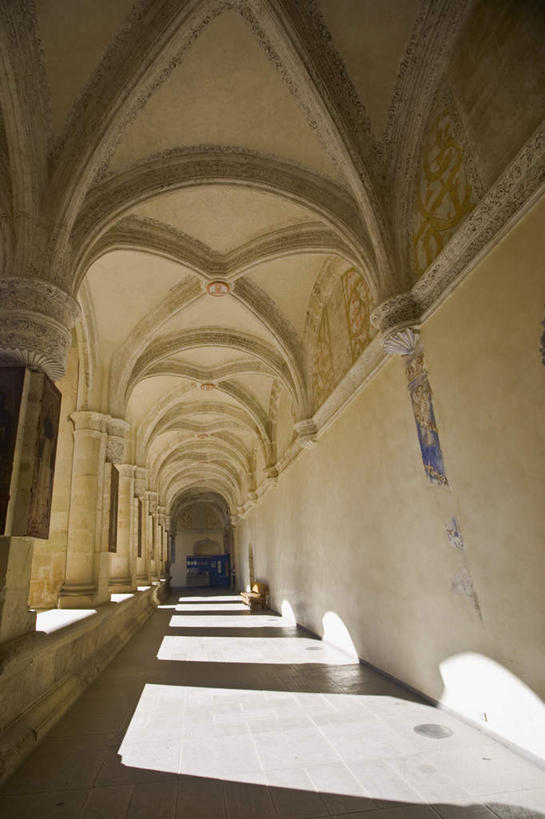 无人,博物馆,竖图,室内,白天,仰视,度假,石头,美景,城市风光,城市,墨西哥,研究,石子,墙,景观,走道,走廊,过道,教育,娱乐,墙壁,墙面,享受,休闲,景色,放松,展览,北美,北美洲,欣赏,美洲,陈列,瓦哈卡州,瓦哈卡,北亚美利加洲,亚美利加洲,墨西哥合众国,仙人掌王国,瓦哈卡德华雷斯,典藏,石块,彩图,低角度拍摄