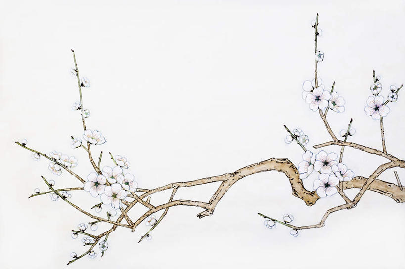 无人,横图,室内,白天,白色背景,正面,绘画,植物,艺术,盛开,梅花,枝条,古典,花蕾,文化,花,花瓣,花朵,鲜花,树,树木,树枝,工艺品,花苞,花蕊,品味,美术,高雅,坚强,国画,水墨画,美学,水墨,虬枝,枝杈,梅,彩图