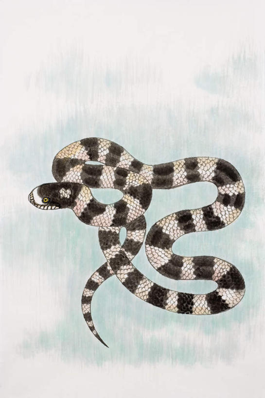 无人,竖图,室内,白天,正面,绘画,野生动物,一条,条纹,艺术,缠绕,爬行动物,蛇,古典,文化,盘旋,动物,工艺品,品味,美术,高雅,冷血动物,国画,水墨画,凶猛,脊椎动物,长虫,美学,水墨,残暴,凶残,彩图,全身,冷血
