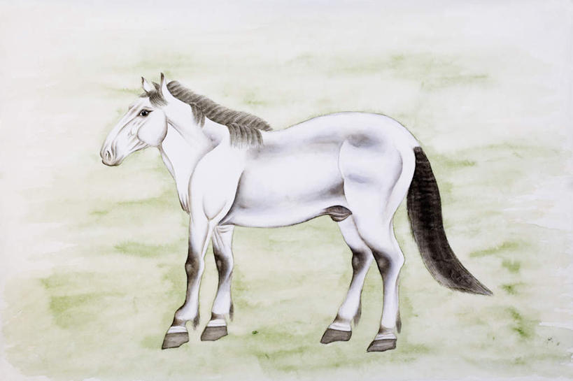 无人,站,横图,室内,白天,侧面,绘画,草地,草坪,植物,马,野生动物,艺术,古典,注视,文化,一匹,草,绿色,白色,动物,工艺品,观察,看,品味,站着,运输,牲畜,观看,美术,察看,高雅,关注,国画,水墨画,美学,水墨,站立,彩图,全身