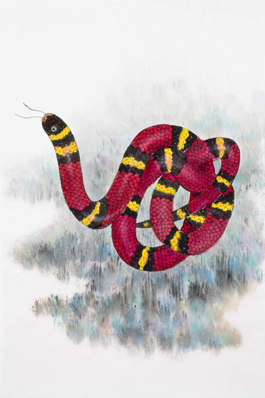 无人,竖图,室内,白天,白色背景,正面,绘画,草地,草坪,植物,野生动物,一条,艺术,爬行动物,蛇,古典,文化,草,粉色,黄色,绿色,黑色,动物,工艺品,品味,美术,高雅,冷血动物,国画,水墨画,凶猛,脊椎动物,长虫,美学,水墨,残暴,凶残,彩图,全身,冷血