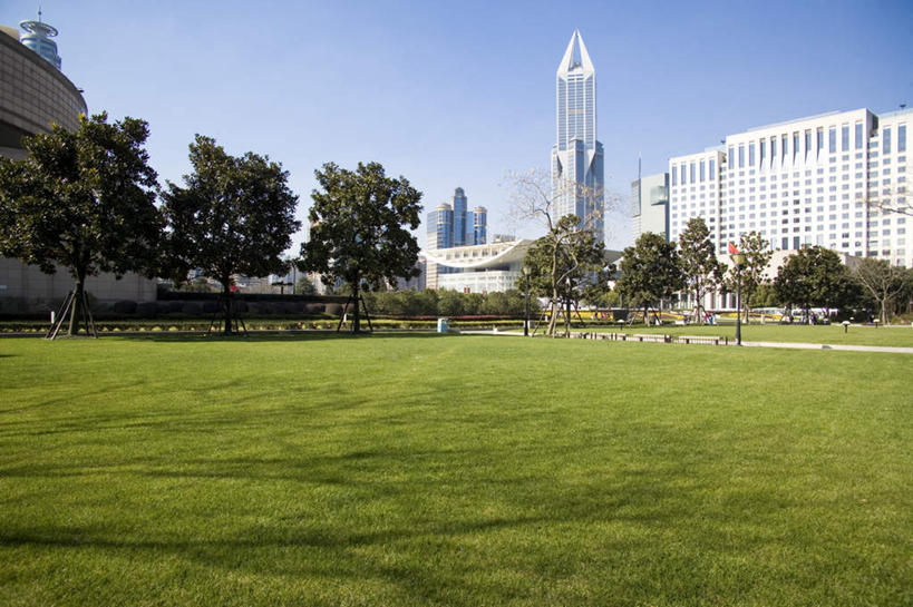 无人,高楼大厦,横图,室外,白天,正面,度假,办公楼,草地,草坪,美景,植物,城市风光,城市,大厦,建筑,摩天大楼,写字楼,上海,中国,亚洲,阴影,光线,影子,景观,娱乐,草,树,树木,蓝色,绿色,蓝天,天空,阳光,自然,楼宇,人民广场,天,享受,休闲,商务楼,景色,放松,上海大剧院,生长,晴朗,成长,申,黄浦区,东亚,上海市,万里无云,中华人民共和国,沪,华东地区,上海人民广场,晴空,晴空万里,彩图,大楼,高层建筑,高楼,摩天楼