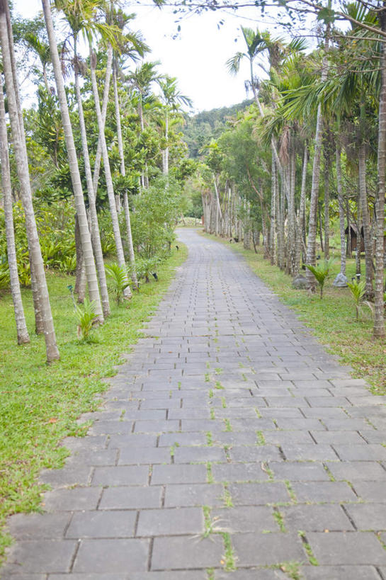 无人,竖图,室外,白天,正面,旅游,度假,草地,草坪,美景,植物,道路,路,台湾,中国,亚洲,景观,小路,交通,娱乐,草,树,树木,绿色,自然,享受,休闲,景色,放松,乡间小路,生长,成长,自然风光,东亚,屏东县,港澳台,中华人民共和国,台湾省,彩图,屏,屏东,屏县,台