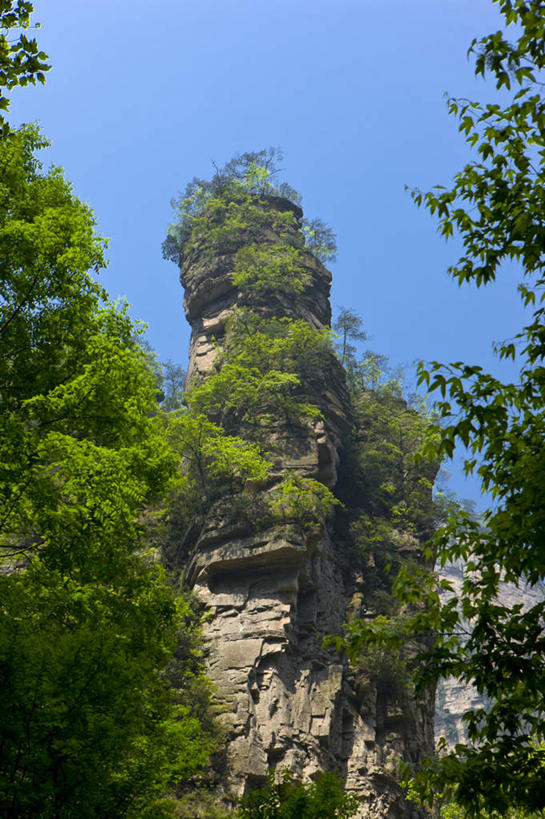无人,公园,竖图,室外,白天,仰视,旅游,度假,石头,美景,森林,山,山脉,树林,植物,张家界,中国,亚洲,阴影,光线,石子,影子,景观,山顶,山峰,悬崖,山峦,娱乐,树,树木,蓝色,绿色,蓝天,天空,阳光,自然,群山,天,享受,休闲,景色,放松,生长,晴朗,成长,自然风光,东亚,沉积岩,湖南,湖南省,森林公园,万里无云,张家界国家森林公园,中华人民共和国,绝壁,华中地区,湘,张家界市,颠峰,极峰,水成岩,石块,岩石,晴空,晴空万里,彩图,低角度拍摄,金鞭溪