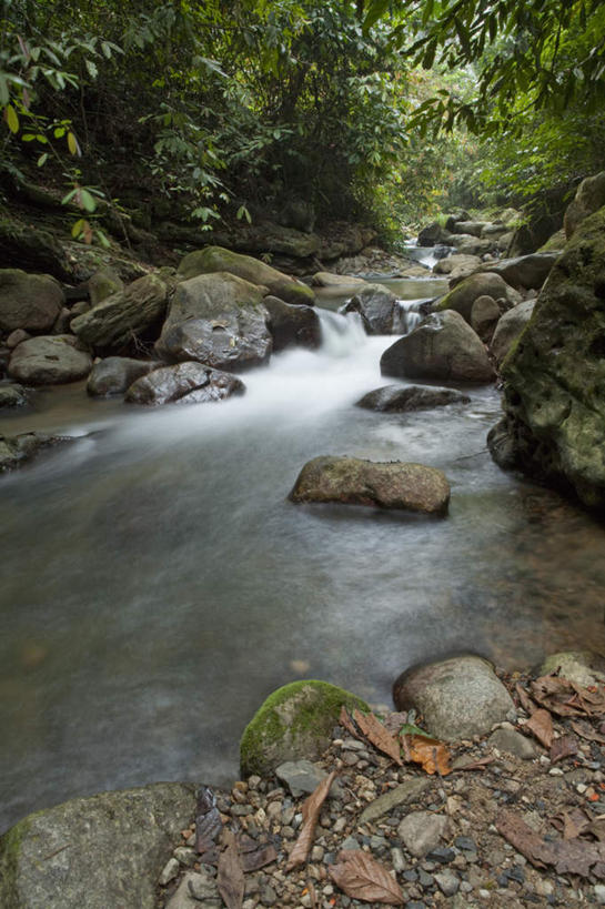无人,竖图,室外,白天,正面,旅游,度假,河流,石头,美景,森林,树林,水,植物,中国,亚洲,石子,河水,景观,水流,娱乐,树,树木,绿色,小溪,自然,溪水,享受,休闲,景色,放松,生长,成长,广西,自然风光,东亚,沉积岩,广西壮族自治区,中华人民共和国,桂,华南地区,百色,百色市,水成岩,石块,岩石,彩图,湖润镇,靖西县,通灵大峡谷,新灵村