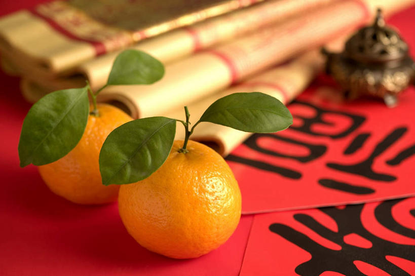 无人,横图,俯视,室内,特写,白天,幸福,柑橘,水果,叶子,阴影,红色背景,新鲜,艺术,反射,标志,文字,香炉,影子,字符,生食,食品,果实,绿叶,文化,标识,食物,两个,福字,祈祷,嫩叶,汉字,许愿,摄影,宗教,信仰,有机食品,绿色食品,影棚,祈求,祭奠,祭祀,祭拜,中国文化,中文,纸钱,祝愿,国文,华文,福,福气,敬拜,冥币,叶,叶片,橘子,桔子,橙子,橙,祭司,彩图,高角度拍摄,影棚拍摄,拍摄,福运,春节贴,福字帖,冥纸,冥镪,冥钞,传统文化