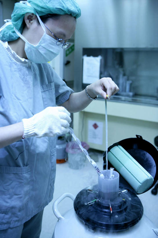 东方人,一个人,医生,医院,站,竖图,室内,白天,侧面,工作服,制服,科技,帽子,亚洲,仅一个年轻女性,仅一个女性,仅一个人,握,阴影,反射,分离,科学,医学,液体,影子,过滤,拿,分开,拿着,注视,黄种人,口罩,容器,手套,观察,看,站着,医护人员,医疗人员,怀孕,隔断,橡胶,油罐,储油罐,握着,遮掩,观看,储藏,隔离,察看,医疗,卫生,科学技术,掩盖,遮挡,储存,关注,净化,人工受精,间隔,防护服,橡胶手套,预防,隔离服,橡胶制品,无菌服,遮盖,防尘,试管婴儿,医疗机构,医生帽,医用手套,掩饰,断绝,隔开,屏蔽,屏绝,远离,中断,阻遏,阻隔,工作制服,无色,无味,存油罐,贮油罐,年轻女性,女人,女性,亚洲人,大夫,站立,半身,彩图,工作套服,病院,诊所,防静电工装,隔工作服,洁净工装,洁净工作服,净化服,无尘工作服,无尘衣,不可燃,惰性,无腐蚀性,液氮,氮气,贮存,体外受精,体外受孕,低温