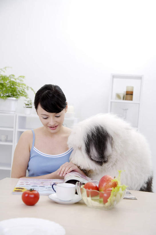 东方人,一个人,坐,笑,微笑,露齿笑,竖图,室内,白天,正面,阅读,植物,餐桌,桌子,宠物,狗,苹果,蔬菜,西红柿,杂志,杯子,餐具,水果,亚洲,仅一个年轻女性,仅一个女性,仅一个人,握,学习,阴影,服装,新鲜,反射,瓷器,碟子,盘,盆栽,影子,墙,生食,食品,果实,咖啡杯,盆景,陶瓷制品,注视,休闲装,黄种人,蔬果,墙壁,墙面,食物,一只,衣服,红色,绿色,白色,自然,动物,盘子,碟,低头,观察,看,休闲,休闲服,可爱,读书,浏览,握着,服饰,有机食品,绿色食品,生长,牧羊犬,成长,餐台,观看,察看,关注,瓷杯,忠诚,古代牧羊犬,古牧,截尾犬,英国古代牧羊犬,年轻女性,女人,女性,亚洲人,犬,番茄,坐着,半身,彩图