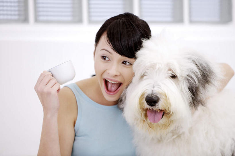 东方人,一个人,坐,笑,微笑,露齿笑,横图,室内,白天,正面,窗户,宠物,狗,杯子,亚洲,仅一个年轻女性,仅一个女性,仅一个人,握,阴影,服装,反射,瓷器,影子,墙,咖啡杯,陶瓷制品,注视,休闲装,黄种人,玻璃窗,墙壁,墙面,一个,一只,衣服,白色,动物,观察,看,张嘴,休闲,休闲服,可爱,握着,服饰,牧羊犬,单个,观看,察看,关注,瓷杯,张大嘴巴,忠诚,古代牧羊犬,古牧,截尾犬,英国古代牧羊犬,年轻女性,女人,女性,亚洲人,张开嘴,犬,坐着,半身,彩图