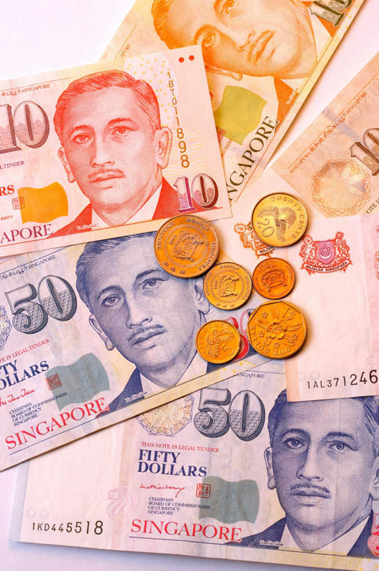 东方人,一个人,无人,竖图,俯视,室内,特写,白天,钱,静物,亚洲,仅一个男性,仅一个人,仅一个中年男性,阴影,反射,标志,钱币,数字,文字,影子,字符,黄种人,标识,钞票,金融,纸币,阿拉伯数字,主席,经济,领导,总统,流通,纸钞,贸易,新加坡元,政治家,首脑,货币,现金,硬币,男人,男性,中年男性,亚洲人,半身,彩图,高角度拍摄,坡币,新元,新加坡总统,尤索夫.宾.伊萨克