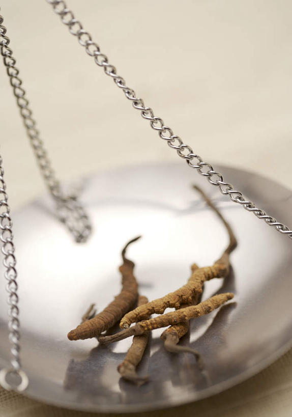 无人,竖图,俯视,室内,特写,白天,白色背景,仪器,植物,餐桌,桌子,一堆,许多,阴影,堆叠,堆积,朦胧,模糊,反射,影子,褐色,草药,药草,很多,中药,一个,摄影,影棚,单个,餐台,堆,衡量,真菌,药材,中草药,冬虫夏草,计量,中药材,本草,衡器,杆秤,虫草,冬虫草,中华虫草菌,秤,彩图,高角度拍摄,影棚拍摄,拍摄